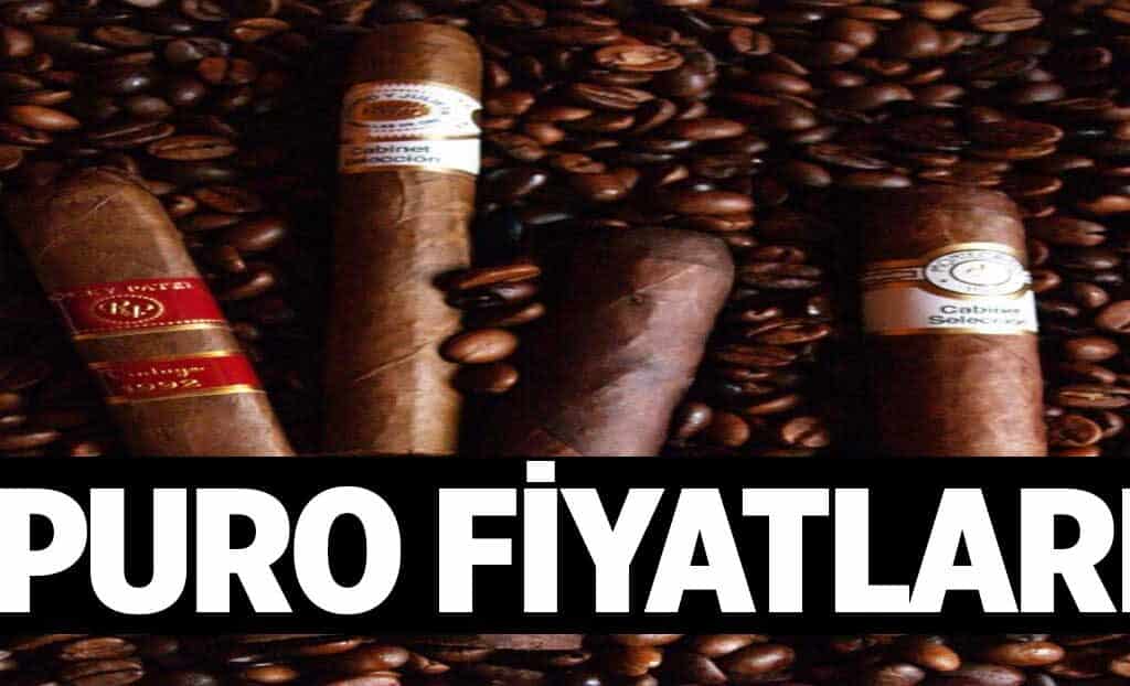 Puro Fiyatlari 1024x622xZP.jpg