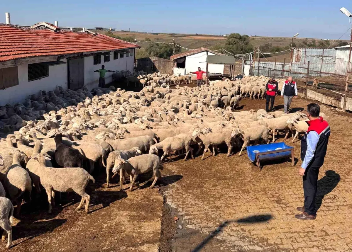 tekirdag tarim ve orman il muduru ciftcileri ziyaret etti l1xypYO5.jpg