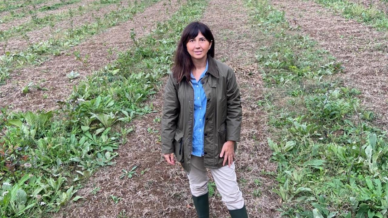 kariyerini birakti topraga dondu seda cem kadin ciftcilere ilham oluyor LaUh3Tp1.jpeg