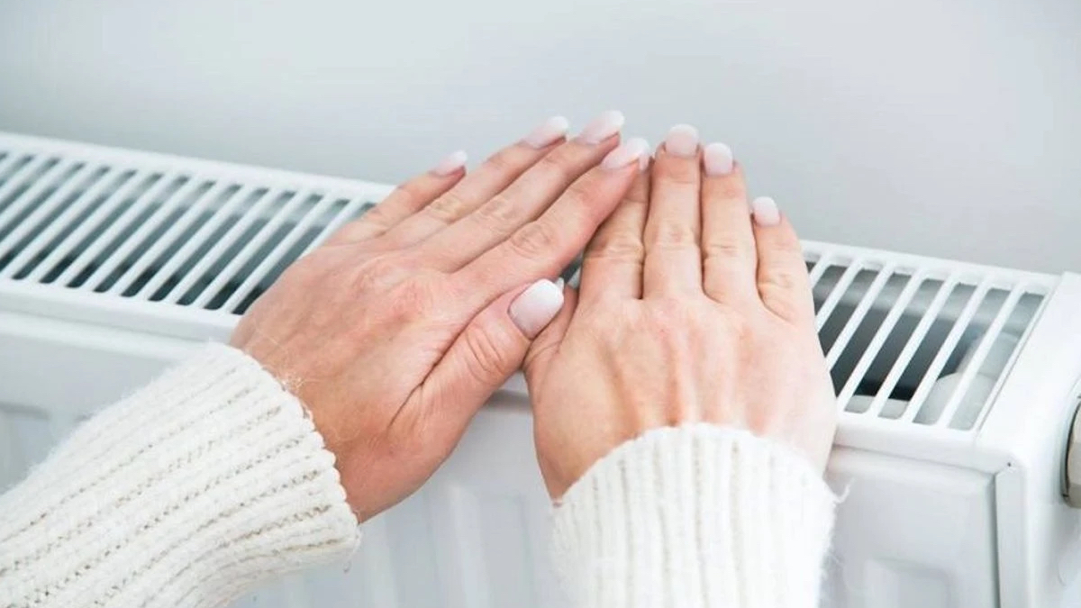 norvecliler kisin boyle isiniyor ne dogalgaz ne elektrik sI6UhgWI.jpg