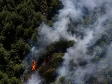Fethiye’de Orman Yangını: Müdahale Çalışmaları Devam Ediyor