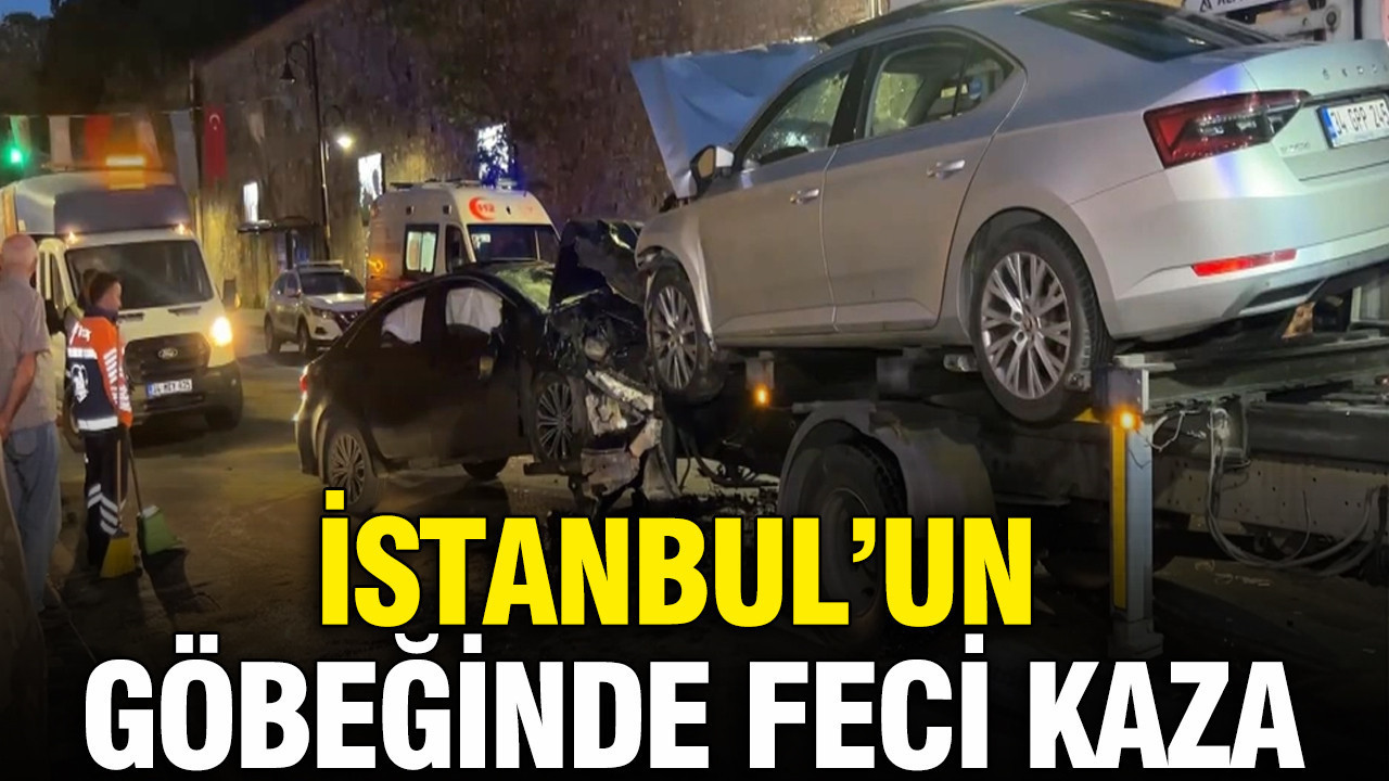 Yeni Dünya Vida Kurdu (NWS) nedir? Et yiyen parazit Türkiye’de var mı, hangi ülkeler de var?