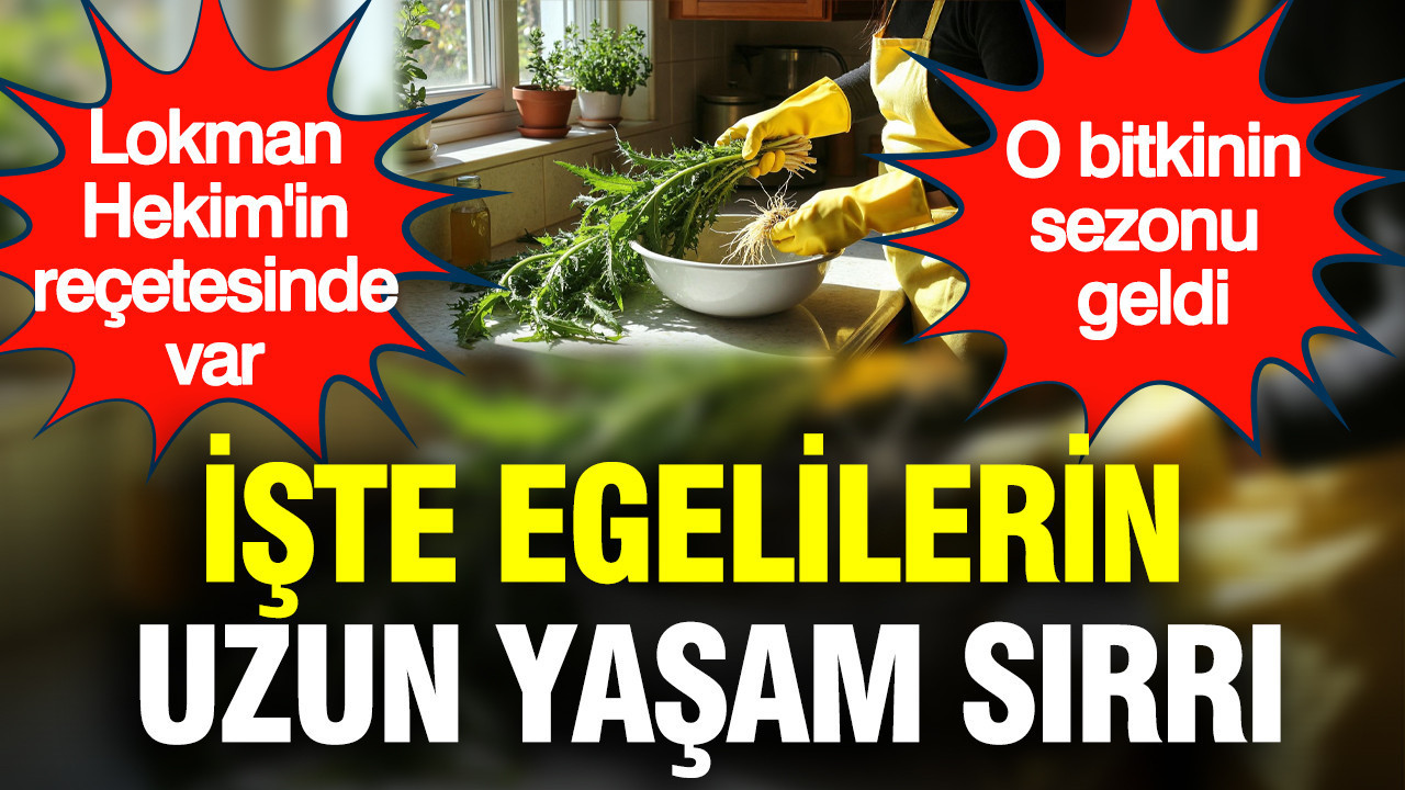 iste-uzun-yasam-sirri-lokman-hekimin-recetesinde-var-94f9qZC1