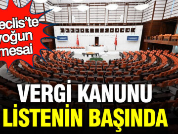 TBMM’de Vergi Düzenlemeleri Üzerine Yoğun Çalışmalar Başladı