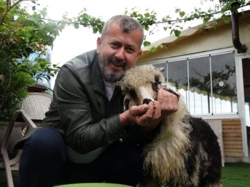 Ercan Yıldırım’ın Sevgisi: ‘Abbas’ Kuzu Artık Onun Ayrılmaz Parçası