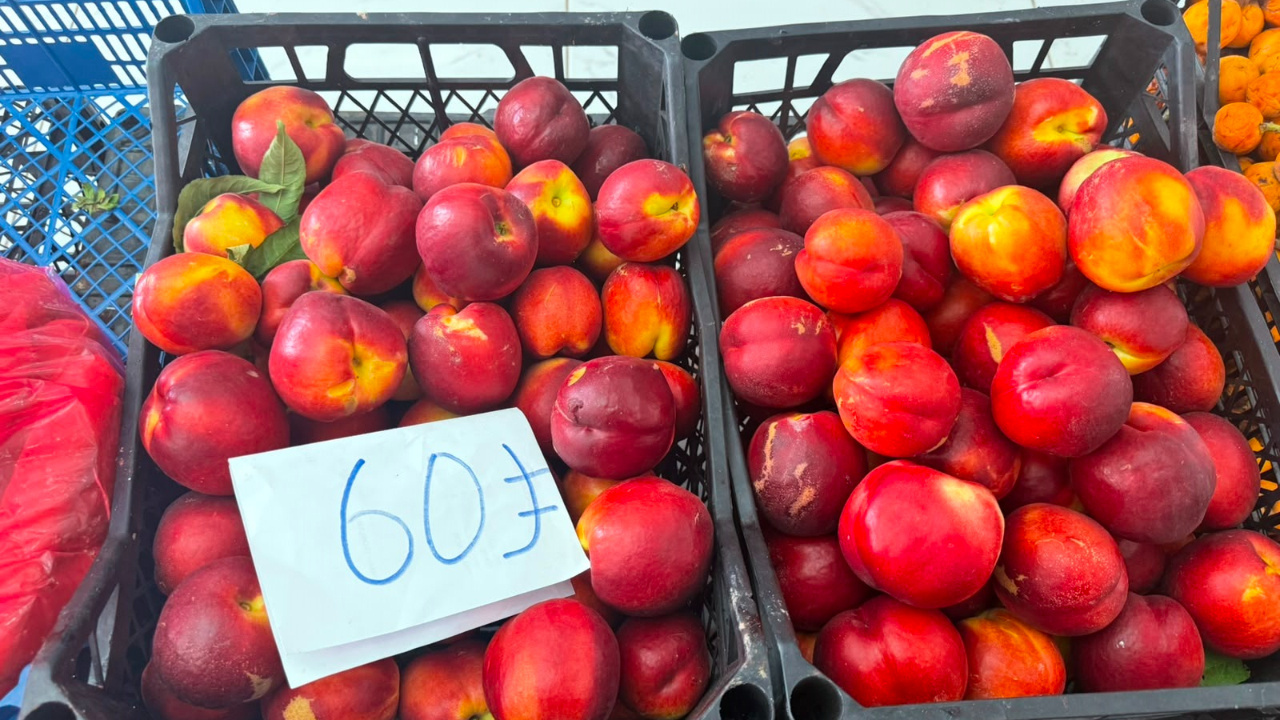 Tarlada 15, pazarda 60 TL! Hatay’da şeftali üreticisi isyanda