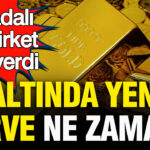 Kanadali dev sirket td securities altinda tarih verdi altinda yeni zirve ne zaman SK8gqEPQ